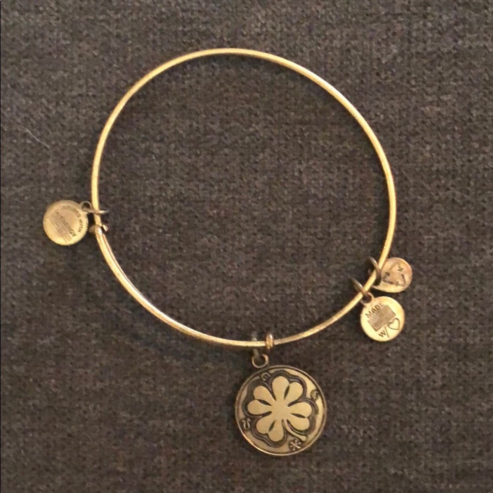 Alex and Ani Lucky Charm Bangle